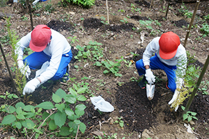 吉備津神社に植樹を